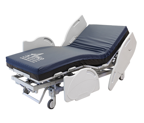 Main image for Amico's Behavioural Bed