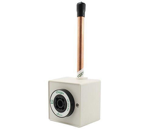Main image for Amico's British Standard Outlet
