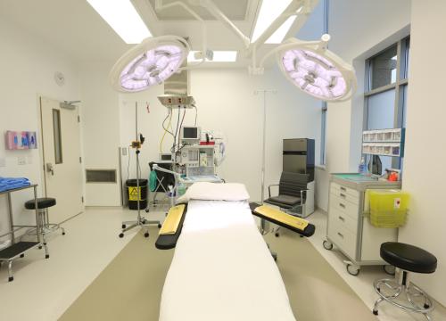 Gallery Image - Ceiling Column Rigid (Stationary)