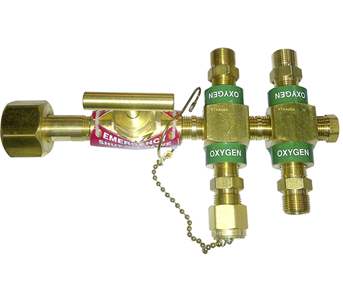 Main image for Amico's Custom Header Bars
