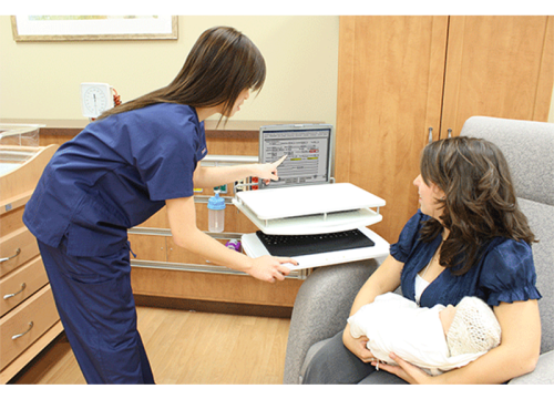 Gallery Image - Hawk Laptop Mounts