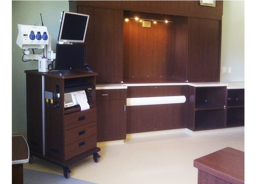 Gallery Image - Jared Fetal Monitor