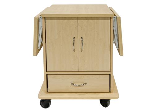 Gallery Image - Leo Delivery