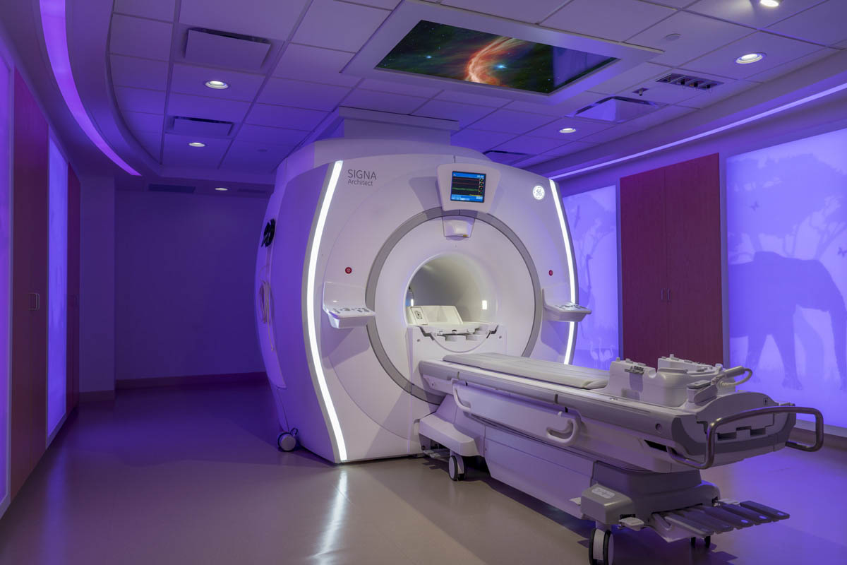 Gallery image for Amico's MRI Series 2' x 8' Image Wall Fixture