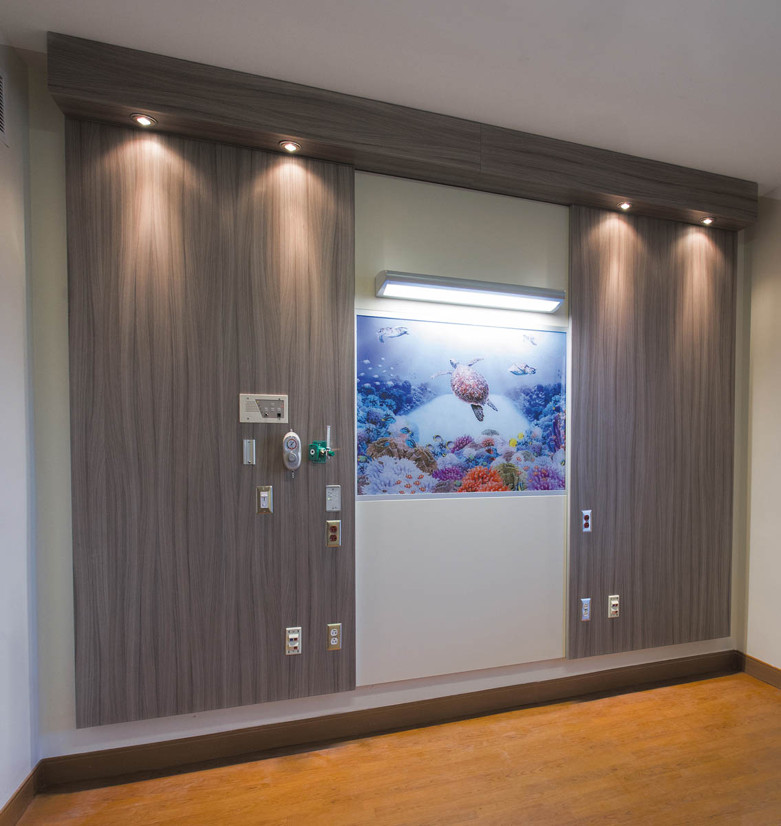 Gallery image for Amico's Skyline Series Skyline Overbed - LED Light
