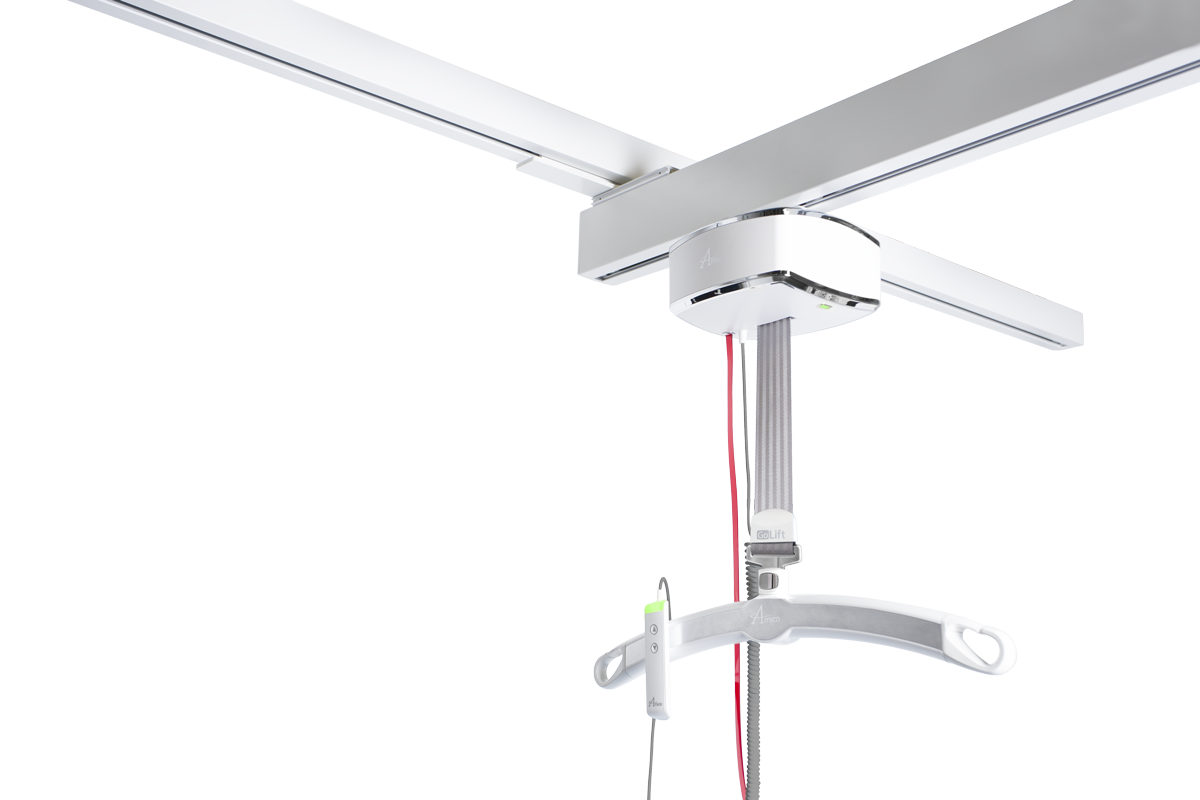 Main image for Amico's XY Gantry (H-track)